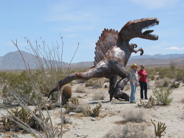 BorregoPalmCanyon7April2014
