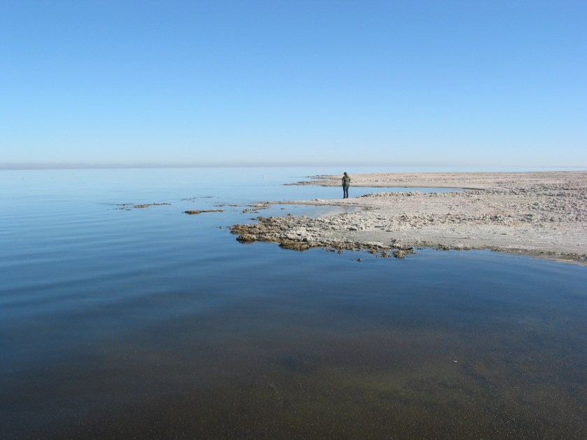 SaltonSea2BorregoNov2014
